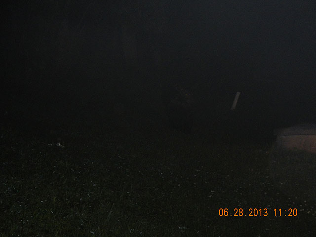misc 073.jpg -                                